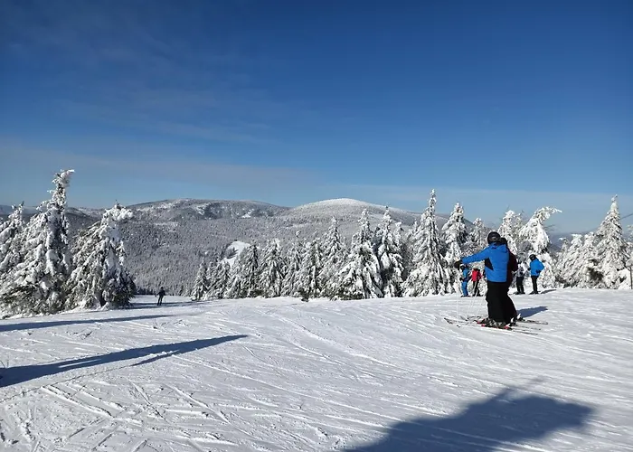 Przystanek Pokrzywna