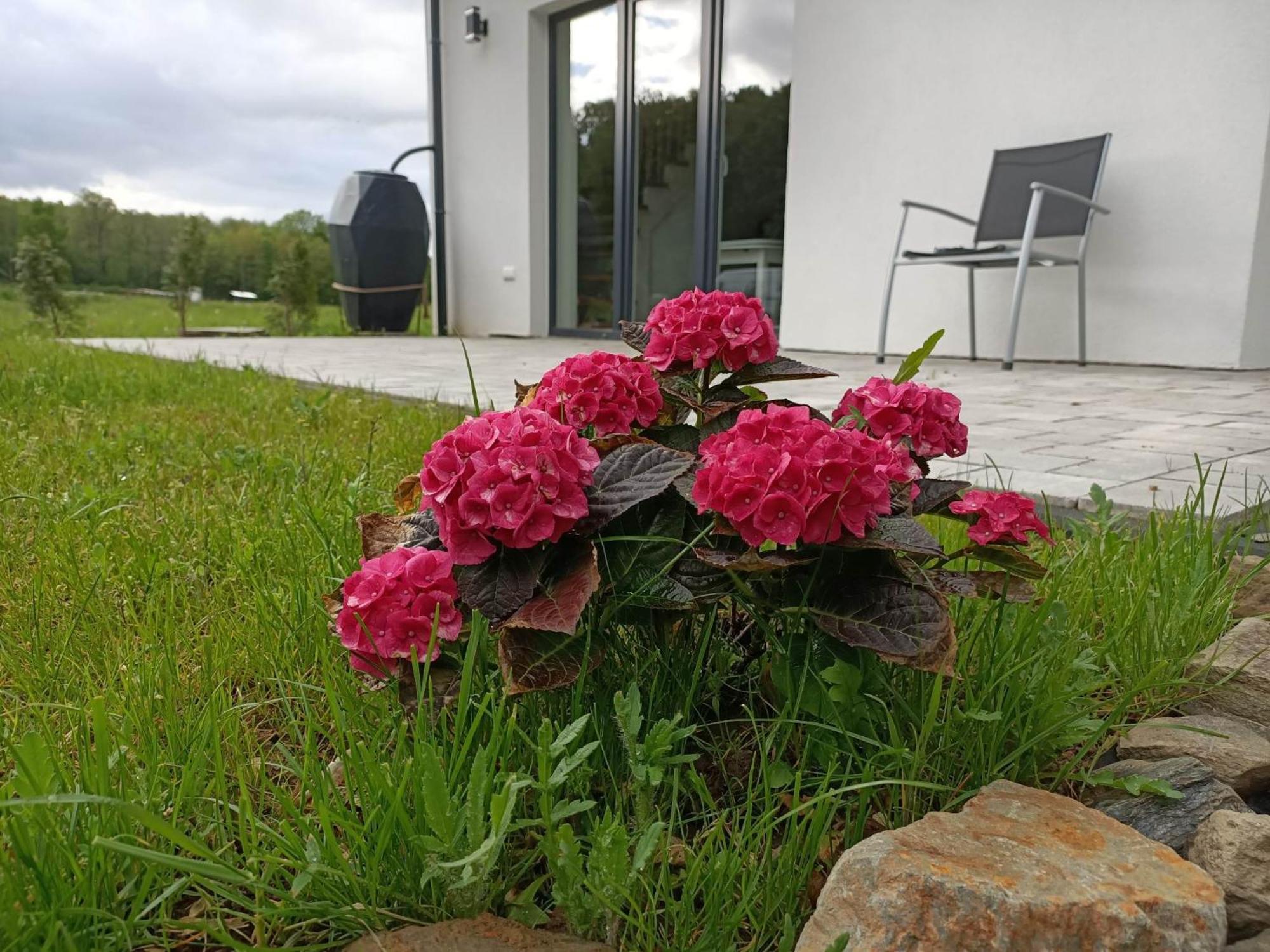 Holiday home Przystanek Pokrzywna